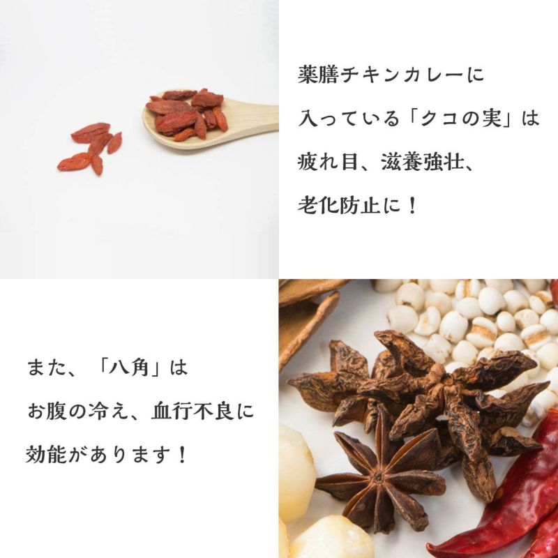 薬膳ポークカレー